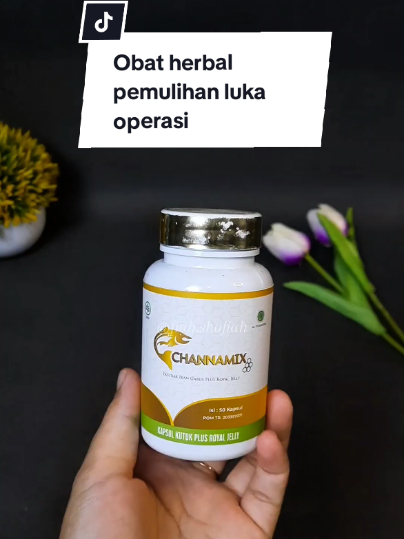 Rekomendasi kapsul herbal untuk pemulihan luka pasca operasi & persalinan 💊 🌿 Channamix terbuat dari ekstrak ikan gabus & royal jelly yang kaya protein dan albumin. ✅ Membantu luka cepat kering ✅ Mempercepat penyembuhan jahitan ✅ Membantu samarkan bekas luka & keloid ✅ Aman, sudah BPOM & halal MUI Cocok untuk pemulihan pasca operasi caesar, jahitan melahirkan normal, maupun operasi lainnya. Biar lebih cepat pulih & percaya diri kembali dengan Channamix ✨ #channamix #operasi #caesar #obatherbal #fyp 