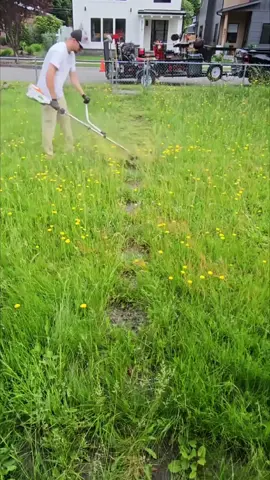 The Ultimate Cleaning & Lawn Care ASMR  #lawncare #cleaninghouse #satisfying #cleaninggarden #cleaningsatisfying      