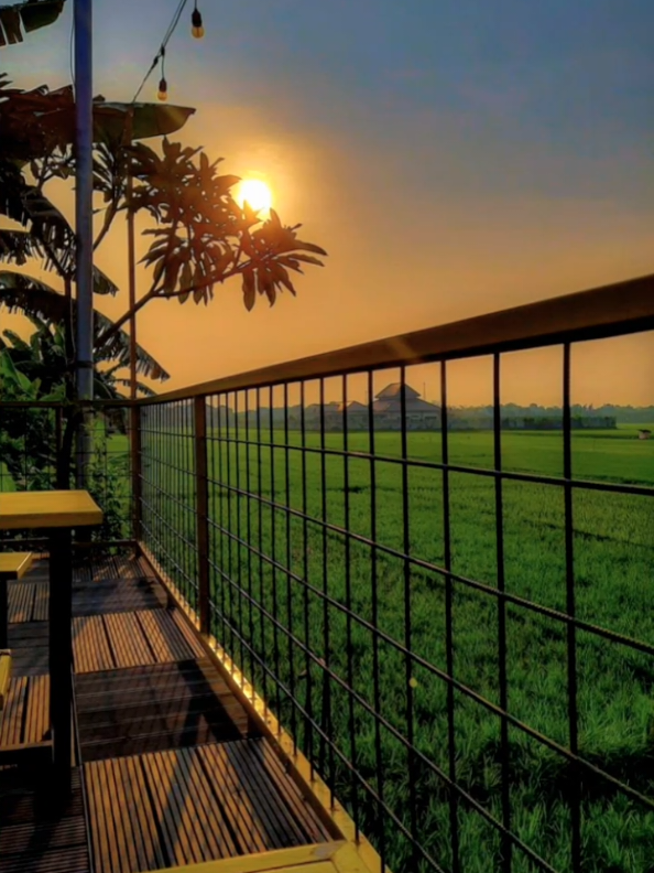 NATURE VIBES | #CapCut #naturevibes #photoslideshow #trend #storywa 