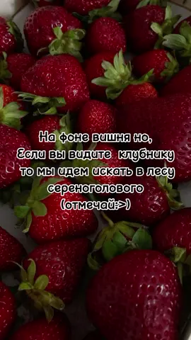 дада все так)#врекомендации #ромашки #говрек #лю #💋 