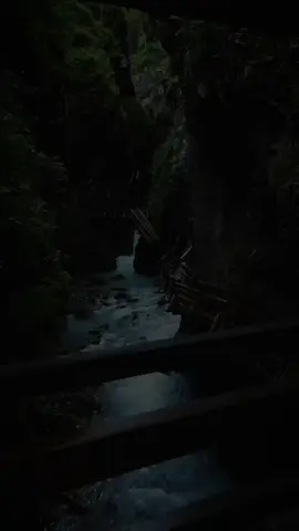 @Quran @Quran65 @Ali Al houdayfi❤️ @Ali jabir❤️ @Coran_1122 @Quran @Quran.y711 @Quran 🍃 #LIVEIncentiveProgram #MyLIVEJourney #PaidPartnership 