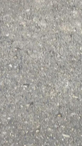 padat tanpa karat🤣#fypage #fizr #fizrproper #rembang24jam 