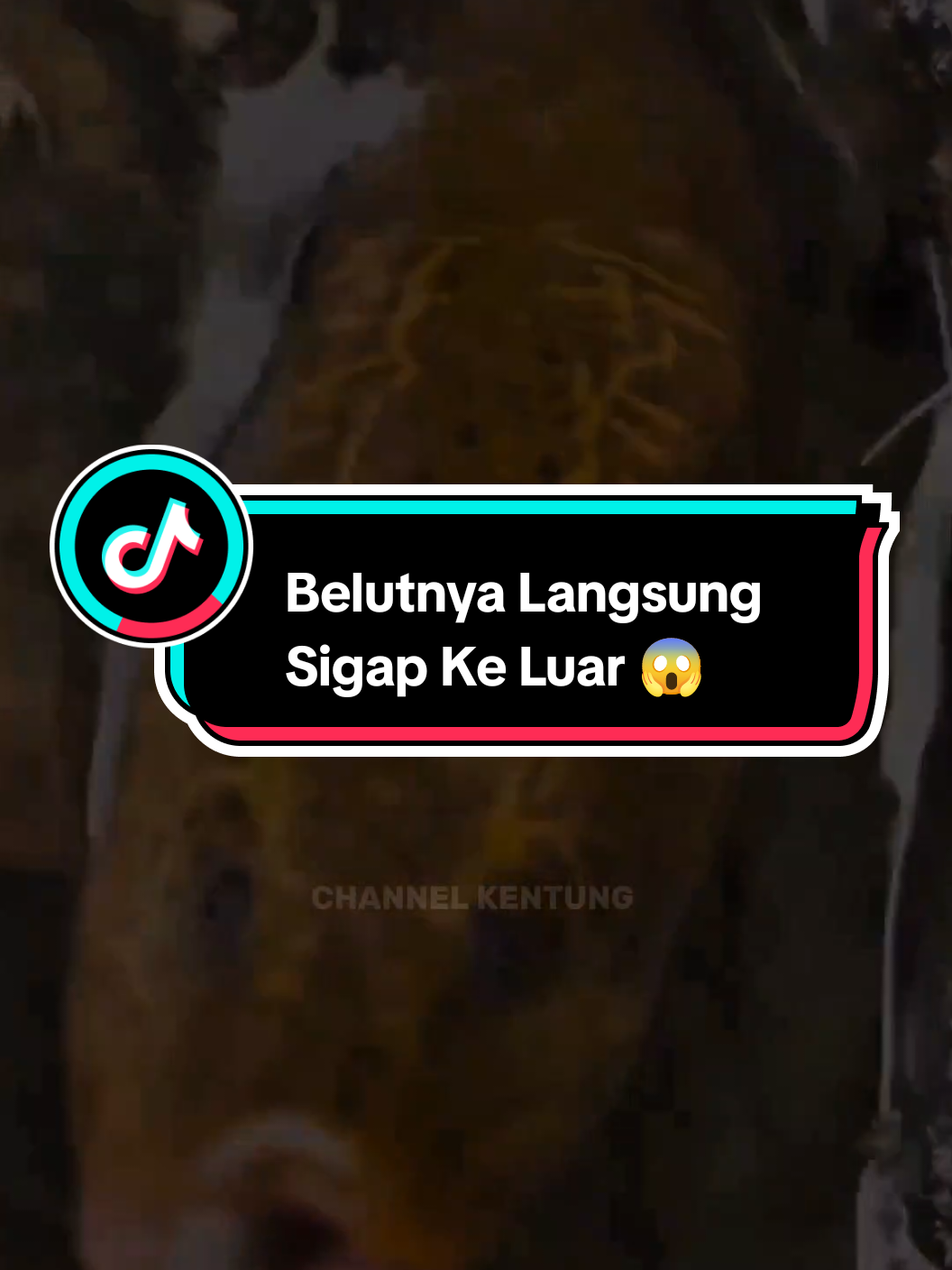 Belutnya Langsung Ke Luar Saat Melihat Makanan Di Luar Lubangnya 😱#belutmonster #trending #belutbabon #mancingbelutmonster #mancingbelutsawah 
