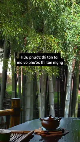 #tamtrang #cuocsong 