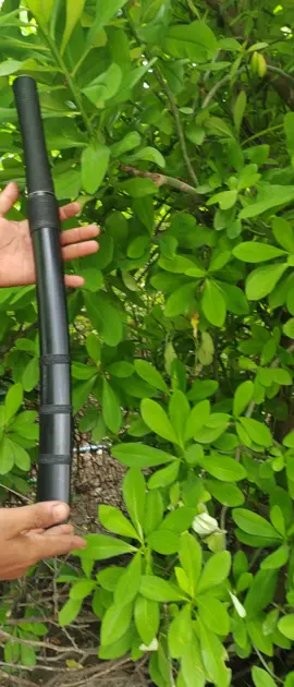 @myo.win.kyaw33 တာချီလိပ်အော်ဒါလေး#ငှက်ပေါက်လေး#မိုးကြီးပင်ရင်း☑ #ရိုးရာပန်းပဲလုပ်ငန်း #မင်းလမ်းပန်းပဲ🙏🙏🙏 #ပြည်တွင်းဖြစ်ကိုအားပေးပါ🇲🇲🇲🇲 