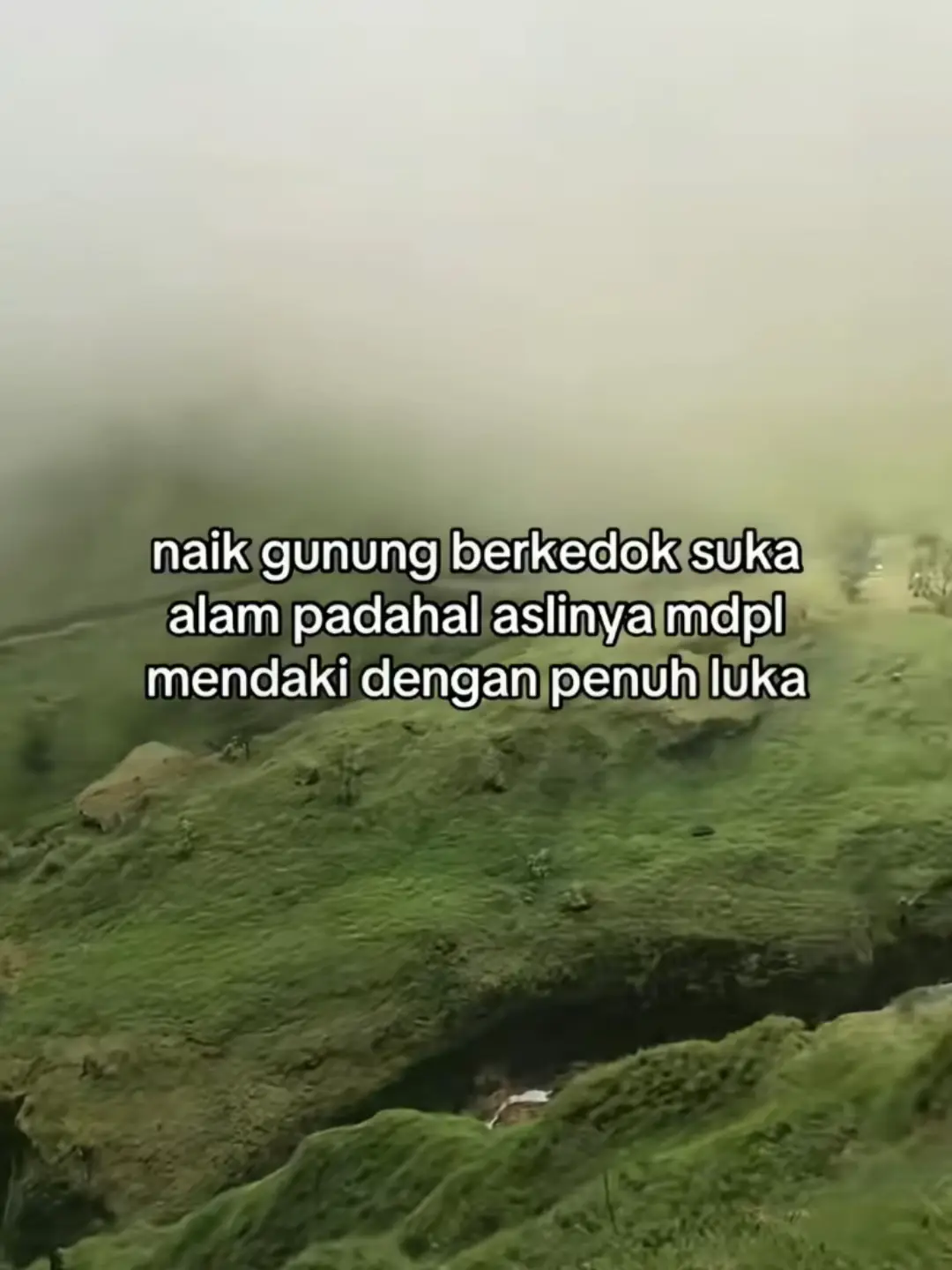 #pendakigunung #mttalang2597mdpl⛰️ 