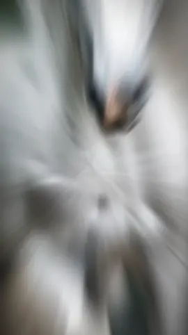 #CapCut  farasku orod kama daalo 