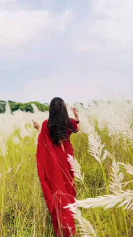 শরৎ এর শুভ্রতা🕊️ #foryou #capcut #viral #trending #desi #unfreeze #fyp #viraltiktok #fyppppppppppppppppppppp #unfrezzmyaccount #soundviral #sound #sare #trend #fypp @TikTok 