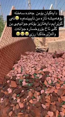 قوربانتبم دایەگیان#🥀🖤ـہہـ٨ــہــ❥ــ٨ـ🥀🖤ـہہـ٨ــہــ❥ #هەولێر_سلێمانی_دەهۆک_ڕانیه_کەرکوک 😭😭😭😭😭😭