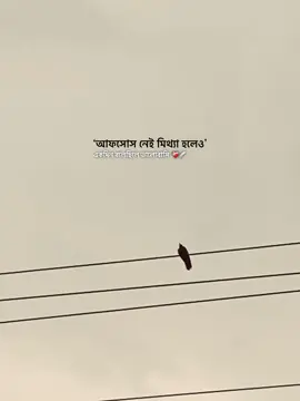 আফসোস নেই মিথ্যা হলেও একদিন বলেছিলে ভালোবাসি-❤️‍🩹😶#foryou #foryoupage #trending 