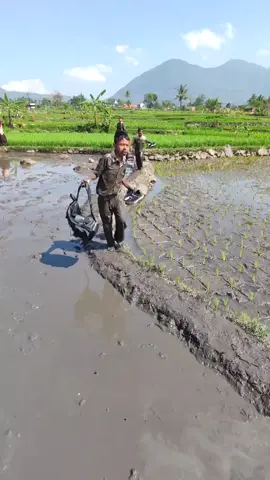 detik detik terjatuh😆😆.          #komedikocak #jatuhdarisawah #fypシ゚ 