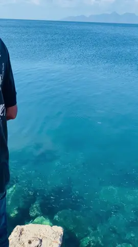 TPI MAUMERE  #mancing #mancingmaniamantap🐟🎣 #maumere_manisee #nntpride🏝️🔥 