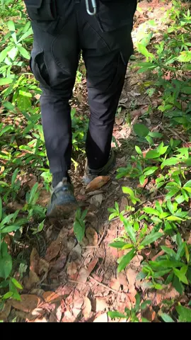 #รองเท้าผ้าใบ #นายหน้าtiktokshop #รองเท้าเดินป่า 