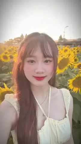 A nhận ra chưa ạ ? 🤣 #xuhuong #hoahuongduong 