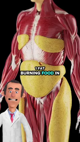 The best fat burning food in the world is… #fatburner #fatloss #healthytips #body #foodfacts 