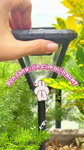 #CapCut Đèn decor sân vườn nặng lượng mặt trời, không mất tiền điện, k phải đi dây #dencambiennangluongmattroi ##decortrangtri #trangtrisanvuon 