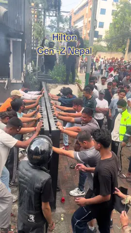 #Hilton #genz #creatorsearchinsights 