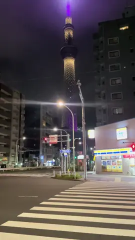 Tokyo Tower 🗼 Standing 333m tall in Minato, Tokyo Tower is a post-war symbol of progress and one of the city’s most iconic landmarks. With two observation decks offering panoramic views — and even Mt. Fuji on clear days — plus shops and attractions at its base, it’s a must-visit day or night when its lights shine across the skyline. #TokyoTower #Tokyo #JapanTravel #IconicLandmark #CityViews #TokyoSkyline #TravelJapan #VisitTokyo 