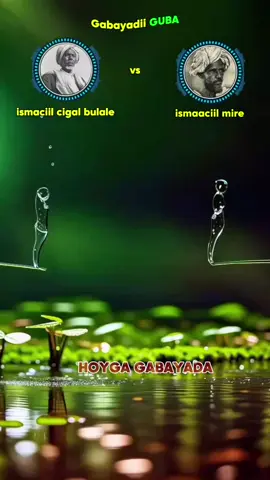 #gabay #fyyyyyyyyyyyyyyyy #somalitiktok #somalitiktok12 #fyp #viral