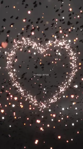 ❤️❤️❤️