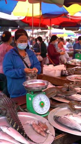 Life at a Wild Meet Market #seafood #food #fish #cooking #animalsmarket 
