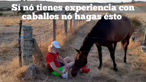 Cómo hablar con un Caballo 🤔👀❤️