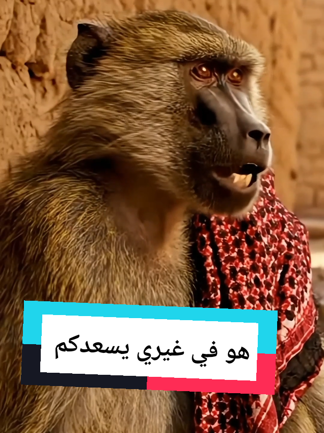 #creatorsearchinsights هو في غيري يضحكم   #LIVEIncentiveProgram #LIVEwithlowfollowers #PaidPartnership 