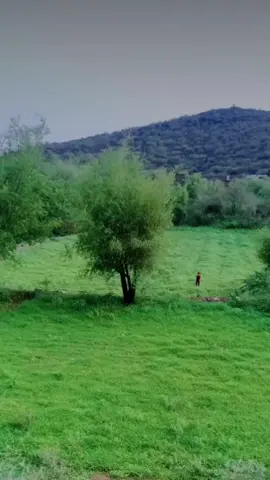 اللهم امين يارب العالمين🤍