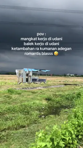 medeni mendunge yaa 😭😩 #purwodadi #siftsiang #fyp #mergawegolekrupiah 