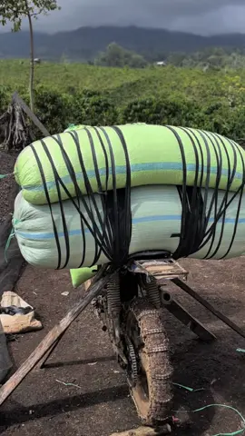 ngojek barng sepuh emng bedaa@Adam 