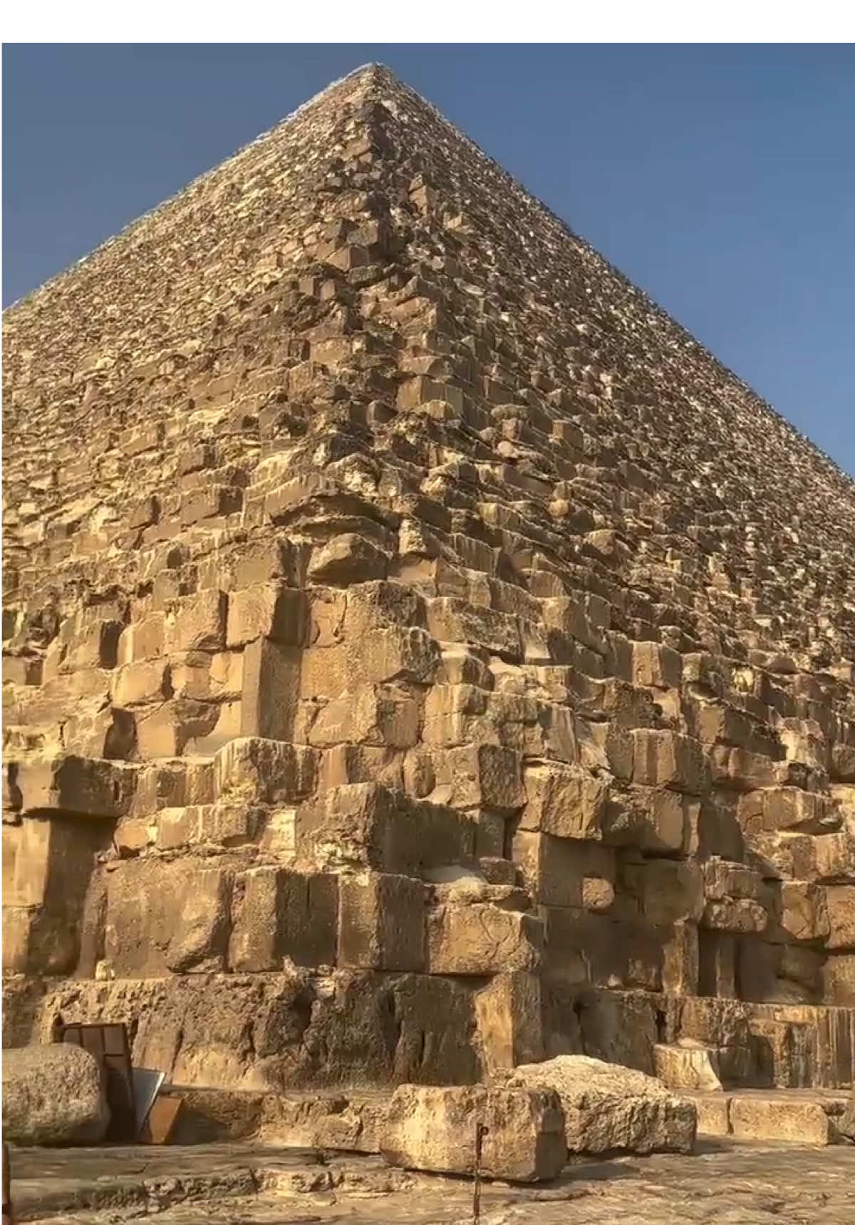 Ride camels 🐪 & horses 🐎 at the Great Pyramids 🏜️ … a journey through history you’ll never forget! 🌍. #pyramids #egypt #visitegypt #travel #GEM #itravelegypt #trending 