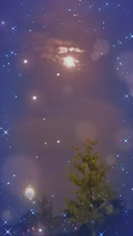 #givemetimetoforgetyou #ontheway #loveforever 