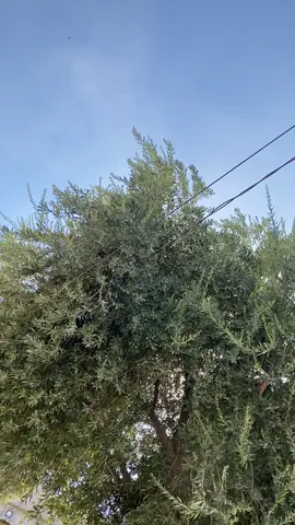 بسم الله الرحمن الرحيم الحمد لله رب العالمين الرحمن الرحيم 