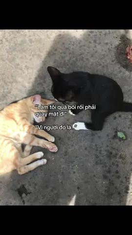 2 cục shit=}#tinhyeu #abcxyz #fybシ #xuhuong #crush 