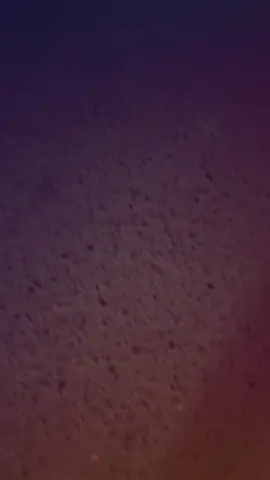 #fyp #foryou #foryoupage #fypシ゚ #كامري 