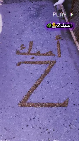 تابعوني وطلبو 😚#الشعب_الصيني_ماله_حل😂😂 #طاقي_حبيبك👑🖇_حبيبتك💭🥀 