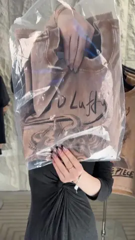 #onepiece #luffy #zoro #onepiecefan #fyp 