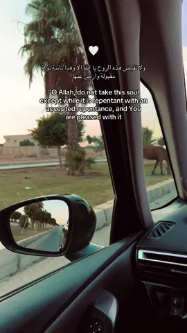 📌