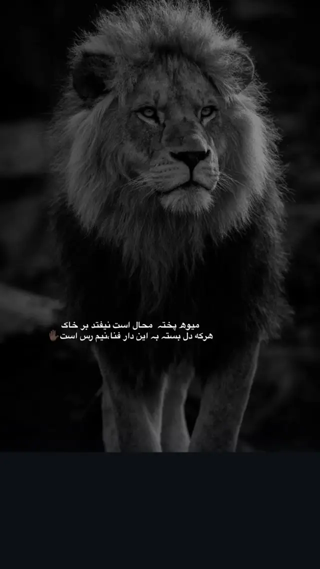 #ترکیه_استانبول🇦🇫🇹🇷 #ozbek #اوزبیک_تاجیک_پشتون_هزاره_ترکمن🇦🇫🇹🇷 