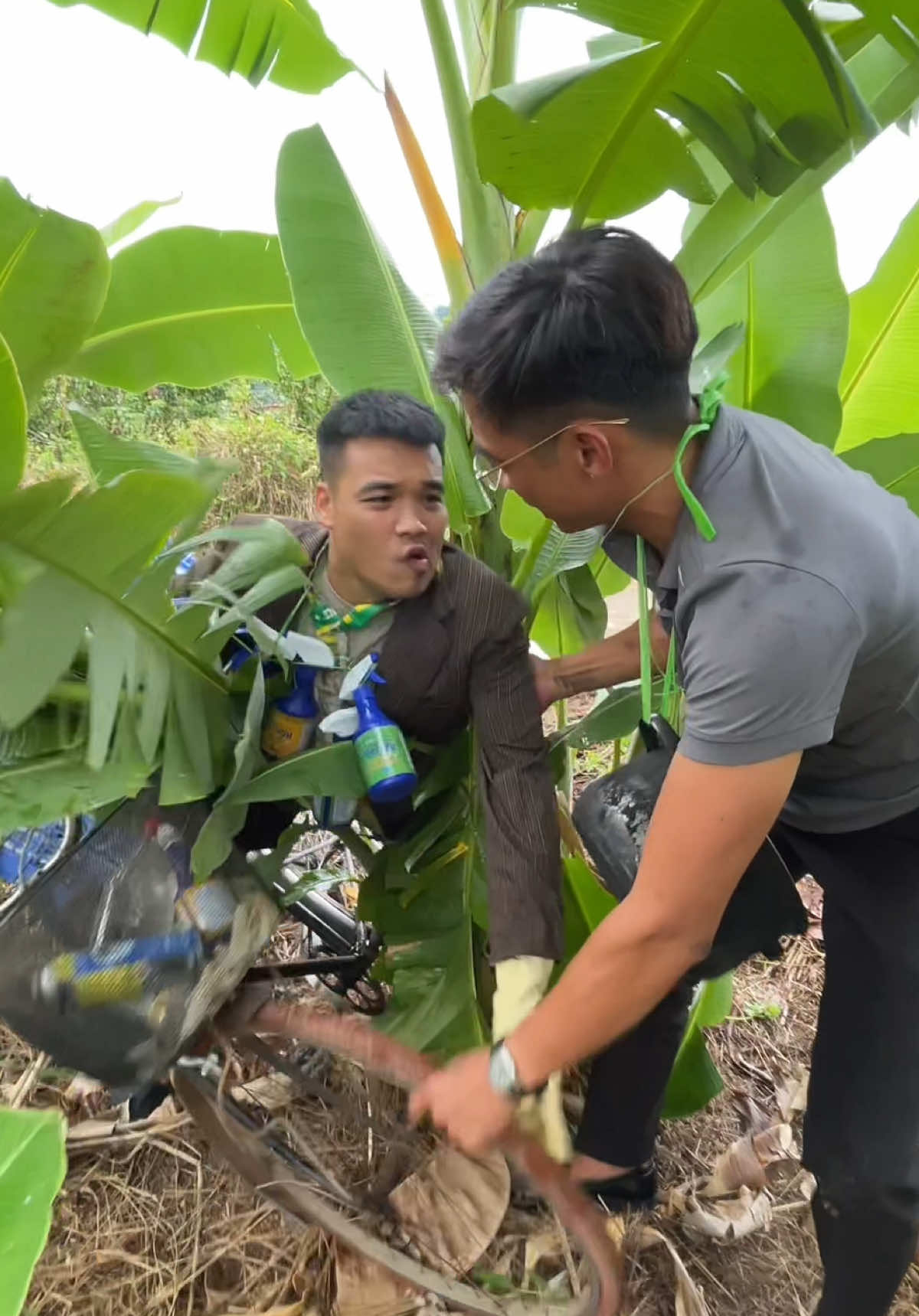 Nước Tẩy Đa Năng Ecogy Tẩy Nhà bếp, Nhà Tắm, Đồ Vải Mốc, tiện dụng cho mọi nhà #nuoctaydanang #botaydanangecogy #nuoctaymoc #nuoctay #botaydanang 