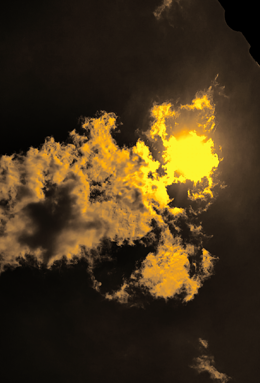 لا تخذل والديك أبدًا. تذكر أنهم ليسوا دائمًا هناك من أجلك. 