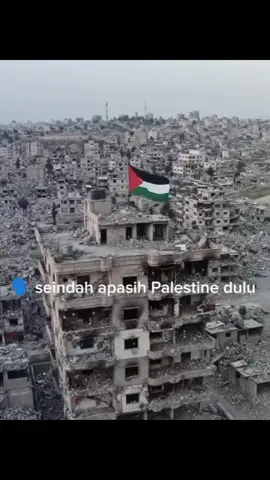 🥺 #freepalestina🇵🇸❤ #savepalestine #gazapalestine 