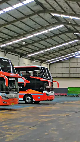 #fyp #rosaliaindahtransport 