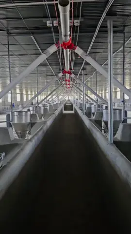 trại 18k thịt