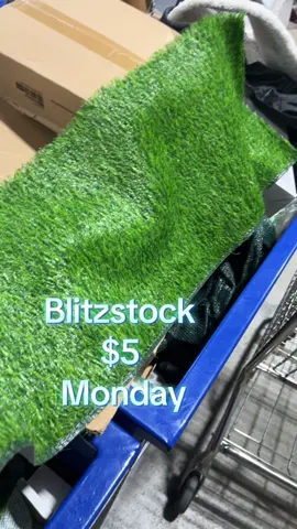Blitzstock $ 5 Monday #blitzstock #blitzstockhernandoms #hernandoms #overstock #binstore 