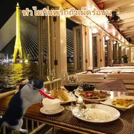 เน้นสาหร่ายฮ่าๆ#แมว #fyp #foryou #foryou #Love 