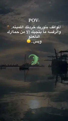 وبس🙋‍♂️#تمساح #الشعب_الصيني_ماله_حل😂😂 #ليك______🖤___متابعه____اكسبلووور #كلام_دنيا #ورنحــهـ_ساكـت💔😂😂 