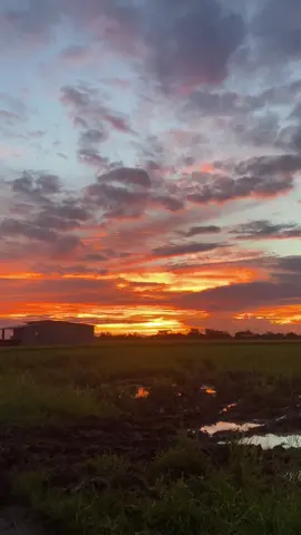#sunset #vibes #trending 