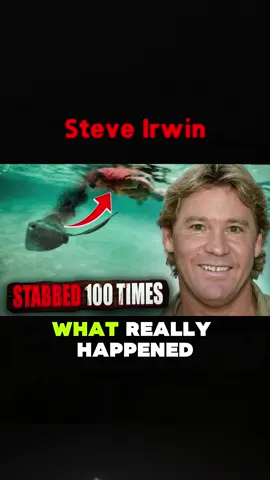 What really happened to Steve Irwin from The Crocodile Hunter? #thecrocodile #thecrocodilehunter #steveirwin #terriirwin #reality #whathappened #foryou #foryoupage #fyp 