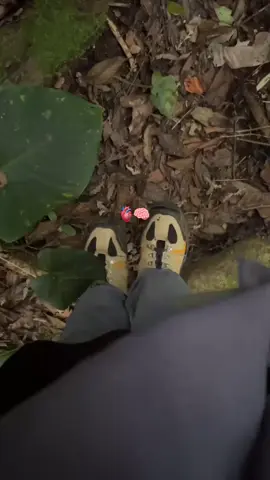 Hidup adalah perjalanan, puncak adalah tujuan, dan setiap langkah adalah pelajaran